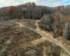 1299 Nellie Hole Road, Salem, West Virginia 26426-0000, ,Lots/land,For Sale,Nellie Hole,10157058