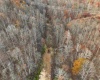 1299 Nellie Hole Road, Salem, West Virginia 26426-0000, ,Lots/land,For Sale,Nellie Hole,10157058