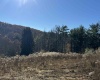 1299 Nellie Hole Road, Salem, West Virginia 26426-0000, ,Lots/land,For Sale,Nellie Hole,10157058