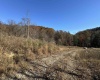 1299 Nellie Hole Road, Salem, West Virginia 26426-0000, ,Lots/land,For Sale,Nellie Hole,10157058