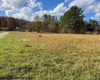 TBD Chenoweth Creek Road, Elkins, West Virginia 26241, ,Lots/land,For Sale,Chenoweth Creek,10157053