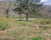 75 Upper Isner Creek Road, Elkins, West Virginia 26241, ,Lots/land,For Sale,Upper Isner Creek,10153850