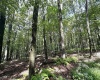 Lot 87 Ginger Court, Terra Alta, West Virginia 26764, ,Lots/land,For Sale,Ginger,10150981