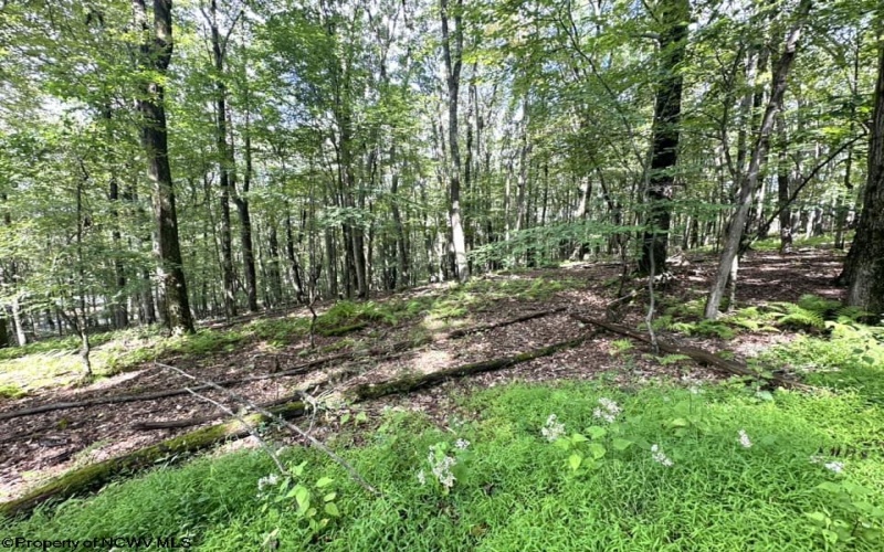 Lot 87 Ginger Court, Terra Alta, West Virginia 26764, ,Lots/land,For Sale,Ginger,10150981