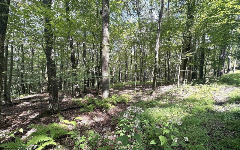 Lot 87 Ginger Court, Terra Alta, West Virginia 26764, ,Lots/land,For Sale,Ginger,10150981