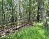 Lot 87 Ginger Court, Terra Alta, West Virginia 26764, ,Lots/land,For Sale,Ginger,10150981