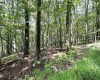 Lot 87 Ginger Court, Terra Alta, West Virginia 26764, ,Lots/land,For Sale,Ginger,10150981