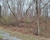 TBD Jack Run Road, Bridgeport, West Virginia 26330, ,Lots/land,For Sale,Jack Run,10157077