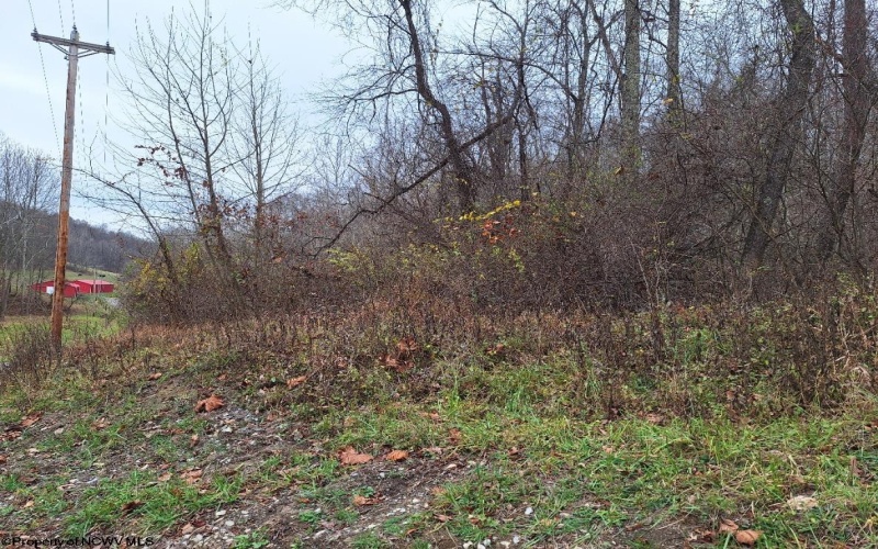 TBD Jack Run Road, Bridgeport, West Virginia 26330, ,Lots/land,For Sale,Jack Run,10157077