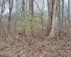 TBD Jack Run Road, Bridgeport, West Virginia 26330, ,Lots/land,For Sale,Jack Run,10157077