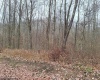 TBD Jack Run Road, Bridgeport, West Virginia 26330, ,Lots/land,For Sale,Jack Run,10157077