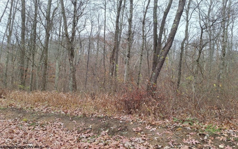 TBD Jack Run Road, Bridgeport, West Virginia 26330, ,Lots/land,For Sale,Jack Run,10157077