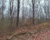 TBD Jack Run Road, Bridgeport, West Virginia 26330, ,Lots/land,For Sale,Jack Run,10157077