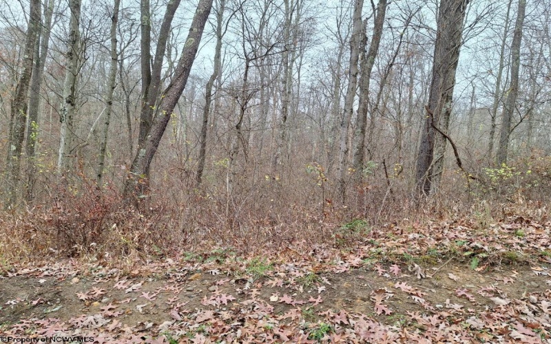 TBD Jack Run Road, Bridgeport, West Virginia 26330, ,Lots/land,For Sale,Jack Run,10157077