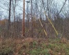 TBD Jack Run Road, Bridgeport, West Virginia 26330, ,Lots/land,For Sale,Jack Run,10157077