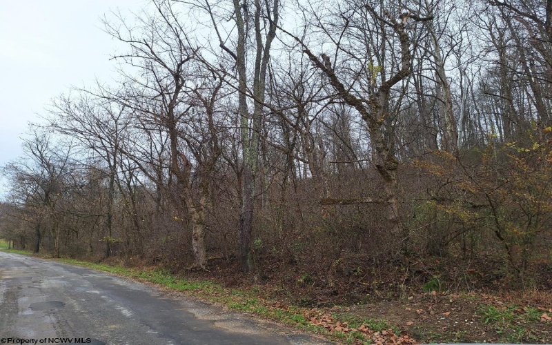 TBD Jack Run Road, Bridgeport, West Virginia 26330, ,Lots/land,For Sale,Jack Run,10157077