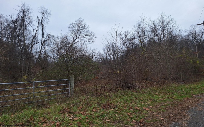 TBD Jack Run Road, Bridgeport, West Virginia 26330, ,Lots/land,For Sale,Jack Run,10157077