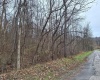 TBD Jack Run Road, Bridgeport, West Virginia 26330, ,Lots/land,For Sale,Jack Run,10157077