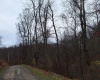 TBD Jack Run Road, Bridgeport, West Virginia 26330, ,Lots/land,For Sale,Jack Run,10157077