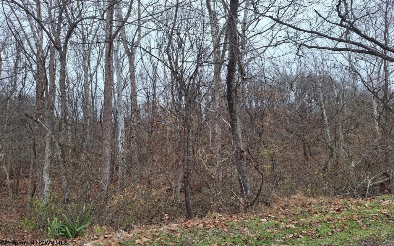 TBD Jack Run Road, Bridgeport, West Virginia 26330, ,Lots/land,For Sale,Jack Run,10157077