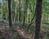 0 Little Mill Fall Road, Fairmont, West Virginia 26554, ,Lots/land,For Sale,Little Mill Fall,10157087