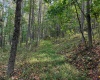 0 Little Mill Fall Road, Fairmont, West Virginia 26554, ,Lots/land,For Sale,Little Mill Fall,10157087