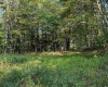 0 Little Mill Fall Road, Fairmont, West Virginia 26554, ,Lots/land,For Sale,Little Mill Fall,10157087