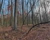 0 Little Mill Fall Road, Fairmont, West Virginia 26554, ,Lots/land,For Sale,Little Mill Fall,10157087