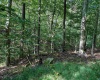 0 Little Mill Fall Road, Fairmont, West Virginia 26554, ,Lots/land,For Sale,Little Mill Fall,10157087