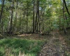 0 Little Mill Fall Road, Fairmont, West Virginia 26554, ,Lots/land,For Sale,Little Mill Fall,10157087