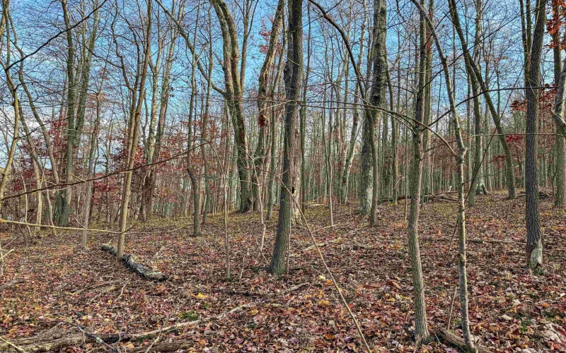 0 Little Mill Fall Road, Fairmont, West Virginia 26554, ,Lots/land,For Sale,Little Mill Fall,10157087