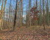 0 Little Mill Fall Road, Fairmont, West Virginia 26554, ,Lots/land,For Sale,Little Mill Fall,10157087