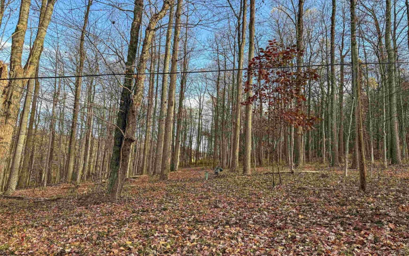 0 Little Mill Fall Road, Fairmont, West Virginia 26554, ,Lots/land,For Sale,Little Mill Fall,10157087