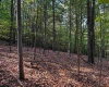 0 Little Mill Fall Road, Fairmont, West Virginia 26554, ,Lots/land,For Sale,Little Mill Fall,10157087