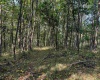 0 Little Mill Fall Road, Fairmont, West Virginia 26554, ,Lots/land,For Sale,Little Mill Fall,10157087