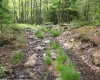 1, 2 & 3 Red Spruce Trail, Davis, West Virginia 26260, ,Lots/land,For Sale,Red Spruce,10141329