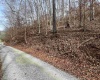 TBD Mud Lick Road, Roanoke, West Virginia 26447, ,Lots/land,For Sale,Mud Lick,10157133