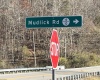 TBD Mud Lick Road, Roanoke, West Virginia 26447, ,Lots/land,For Sale,Mud Lick,10157133
