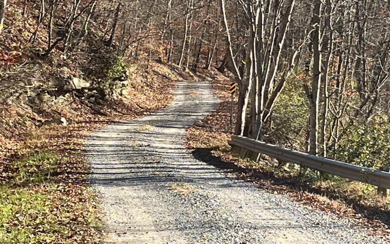 TBD Mud Lick Road, Roanoke, West Virginia 26447, ,Lots/land,For Sale,Mud Lick,10157133