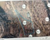 TBD Mud Lick Road, Roanoke, West Virginia 26447, ,Lots/land,For Sale,Mud Lick,10157133