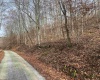 TBD Mud Lick Road, Roanoke, West Virginia 26447, ,Lots/land,For Sale,Mud Lick,10157133