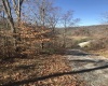 TBD Mud Lick Road, Roanoke, West Virginia 26447, ,Lots/land,For Sale,Mud Lick,10157133