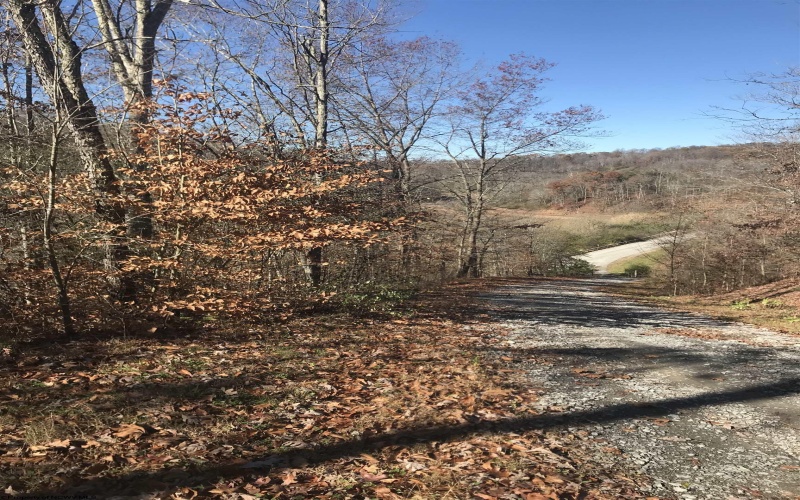 TBD Mud Lick Road, Roanoke, West Virginia 26447, ,Lots/land,For Sale,Mud Lick,10157133