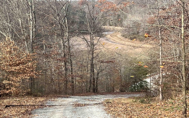 TBD Mud Lick Road, Roanoke, West Virginia 26447, ,Lots/land,For Sale,Mud Lick,10157133