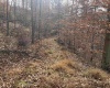 TBD Mud Lick Road, Roanoke, West Virginia 26447, ,Lots/land,For Sale,Mud Lick,10157133