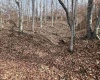 TBD Mud Lick Road, Roanoke, West Virginia 26447, ,Lots/land,For Sale,Mud Lick,10157133