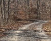 TBD Mud Lick Road, Roanoke, West Virginia 26447, ,Lots/land,For Sale,Mud Lick,10157133