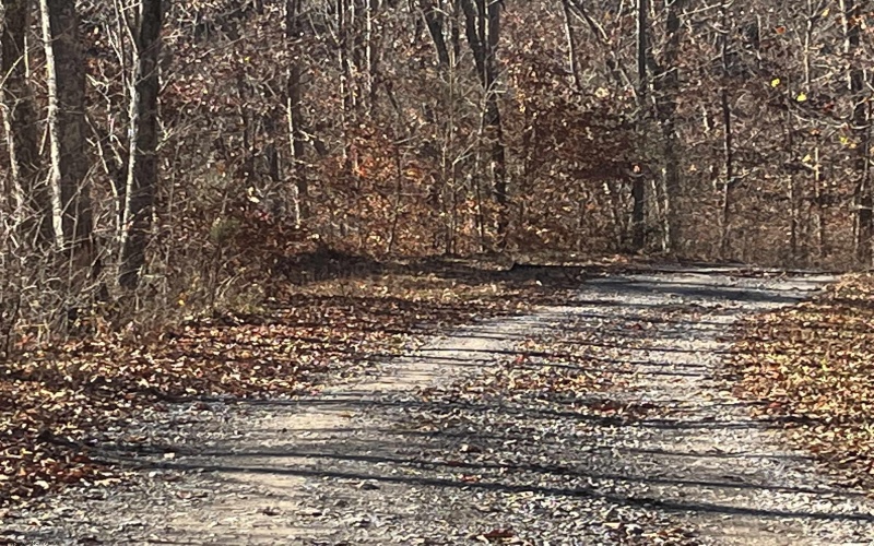 TBD Mud Lick Road, Roanoke, West Virginia 26447, ,Lots/land,For Sale,Mud Lick,10157133