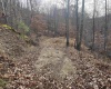 TBD Mud Lick Road, Roanoke, West Virginia 26447, ,Lots/land,For Sale,Mud Lick,10157133