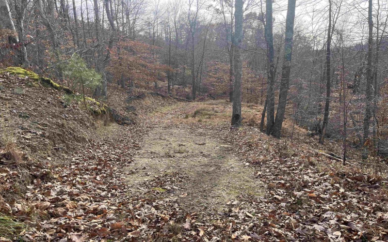 TBD Mud Lick Road, Roanoke, West Virginia 26447, ,Lots/land,For Sale,Mud Lick,10157133